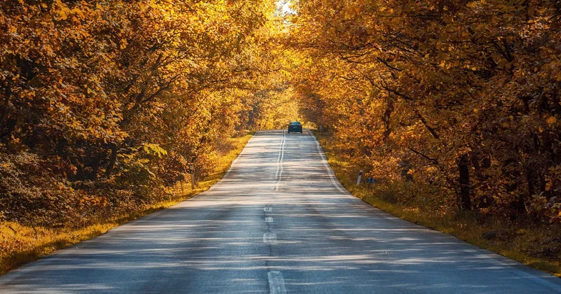 Dans quel ordre faire les choses : une feuille de route