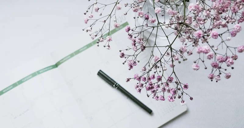 Le calendrier type que j'applique (et qui a tout changé)
