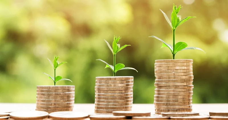 Les erreurs de structuration qui coûtent le plus, et combien elles coûtent